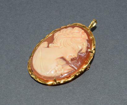 18k (750/°°) yellow gold shell cameo pendant...
