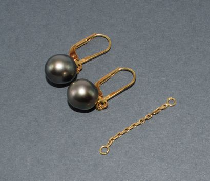 PAIRE DE DORMEUSES en or jaune 18k (750/°°)...
