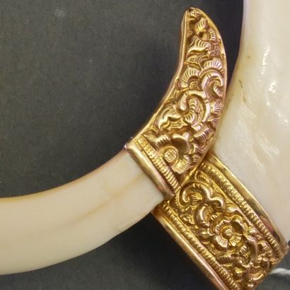 BRACELET RIGIDE formé d'une dent de phacochère...