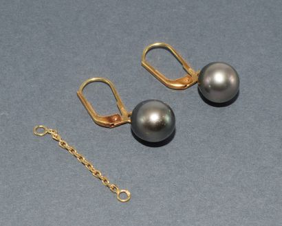 PAIRE DE DORMEUSES en or jaune 18k (750/°°)...
