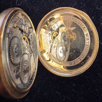 WALTHAM USA
POCKET WATCH in 18k (750/°°)...