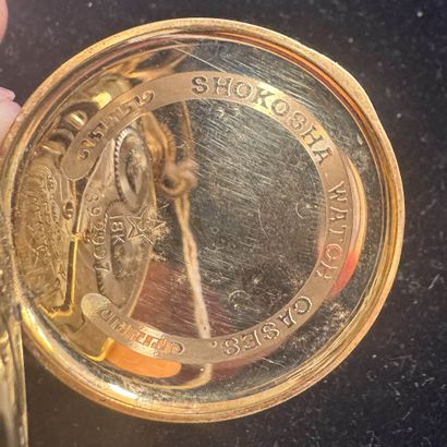WALTHAM USA
POCKET WATCH in 18k (750/°°)...