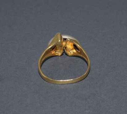 BAGUE MODERNISTE en or jaune et blanc 18K...