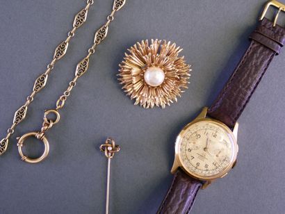 FANCY SET including a DREFFA watch, a flower...