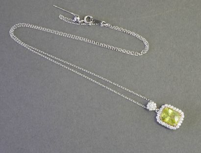 CHAINE et PENDENTIF en argent (min 800/°°)...