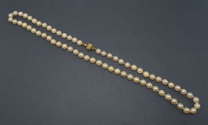 COLLIER matinée de perles de cultures AKOYA...