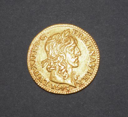 Pièce en or 917/°°
LOUIS XIII : demi-louis...