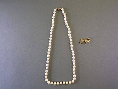 COLLIER de perles de culture chocker, fermoir...