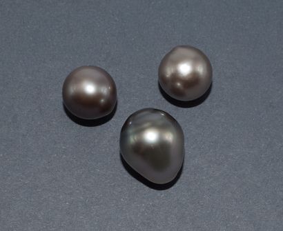 SET consisting of a GOLD PIECE. 
Total weight:...