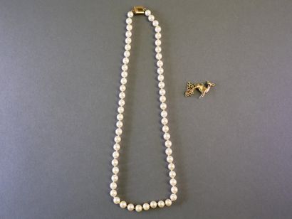 COLLIER de perles de culture chocker, fermoir...