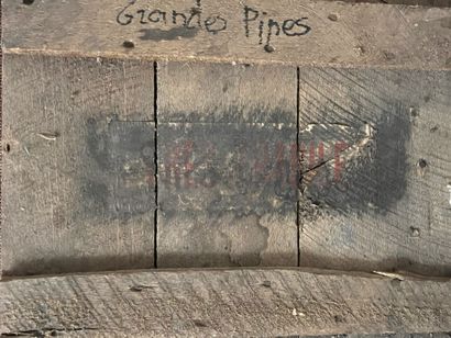 SCOUFFLAIRE :
Set of 50 extra-long clay pipes,...