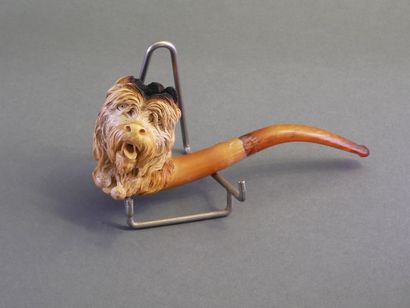 Carved meerschaum pipe depicting a dog's...