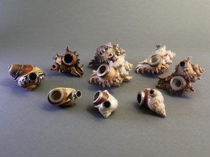 Lot including:
-5 meerschaum and bone hearth...