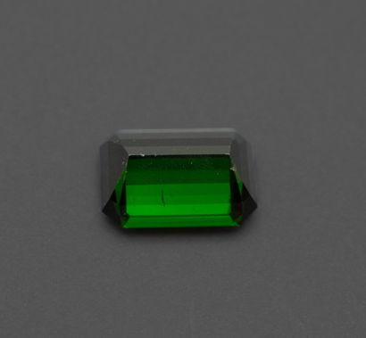 Rectangular chromium-bearing tourmaline (slight...