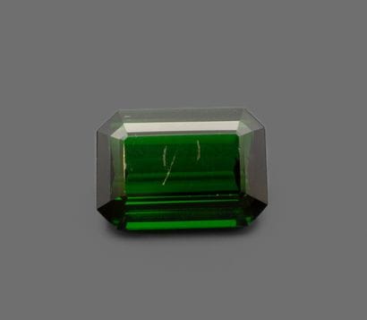 Rectangular chromium-bearing tourmaline (slight...