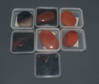 Set of 7 agates in various shapes.
Dimensions:...