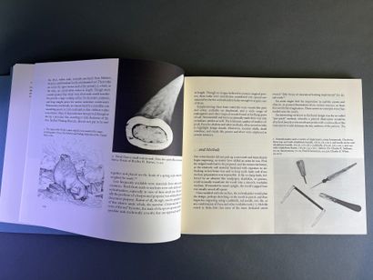 Lot de documentation sur l'art du scrimshaw...
