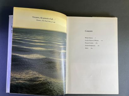 Documentation sur les cétacés et l'art du...