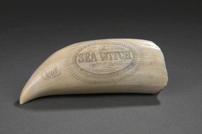 Importante dent de cachalot commemorative...