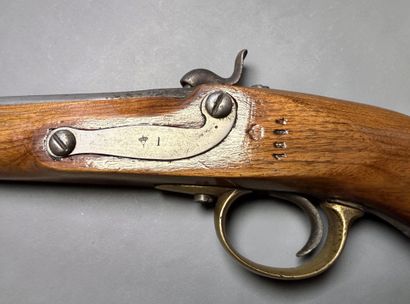 Pistolet-carabine autrichien, à percussion
Canon...
