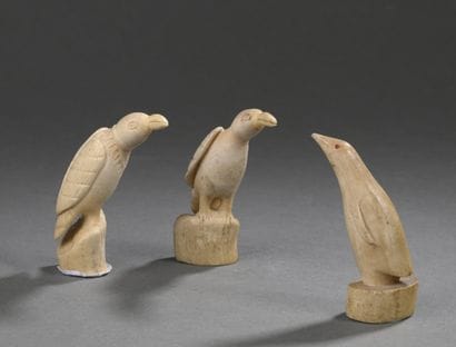 3 dents de cachalot (Physeter macrocephalus)...
