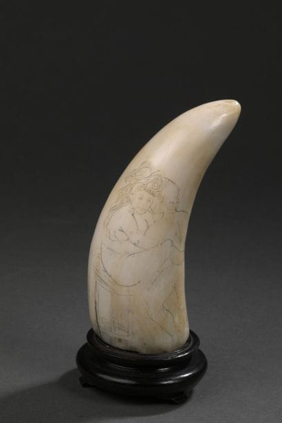 Dent de cachalot (Physeter macrocephalus)...