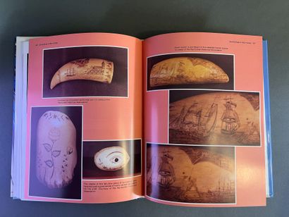 Documentation sur les cétacés et l'art du...