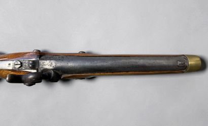 Pistolet-carabine autrichien, à percussion
Canon...