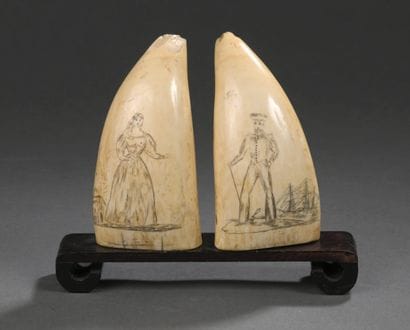 Paire de dent de cachalot (Physeter macrocephalus)...