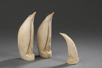 3 dents de cachalot (Physeter macrocephalus)...