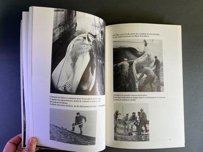Documentation sur les cétacés et l'art du...