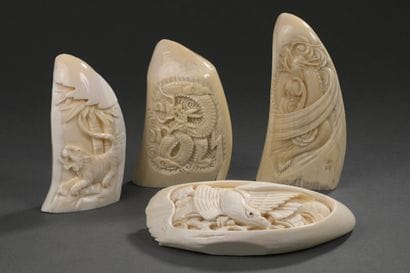 Lot de 4 dents de cachalot (Physeter macrocephalus)...