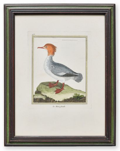 FRANÇOIS-NICOLAS MARTINET (1731 - VERS 1804)
Suite...