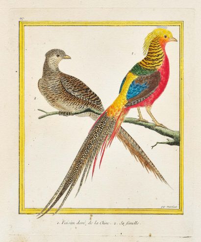 FRANÇOIS-NICOLAS MARTINET (1731 - VERS 1804)
Suite...