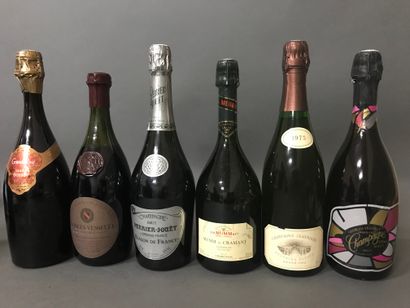 1 Blle CHAMPAGNE PERRIER JOUET BLASON DE...