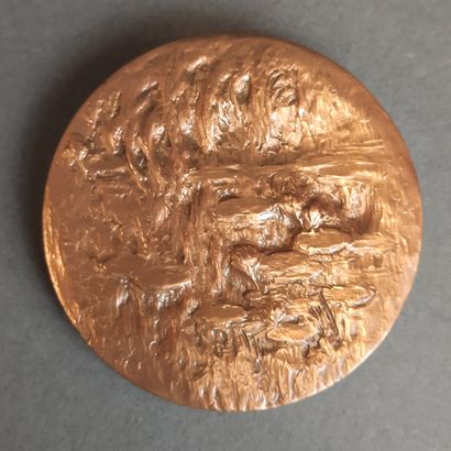 MEDAILLES de la Monnaie de Paris en bronze....