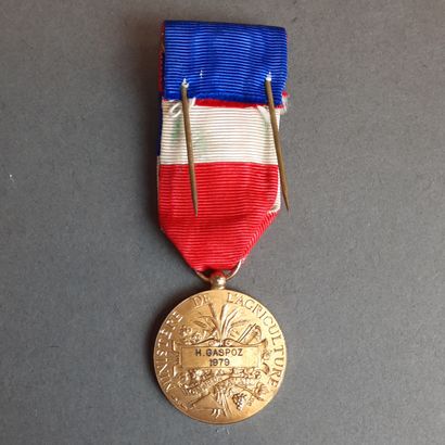 Lot de MÉDAILLES : cinq en plaqué or du Mérite...
