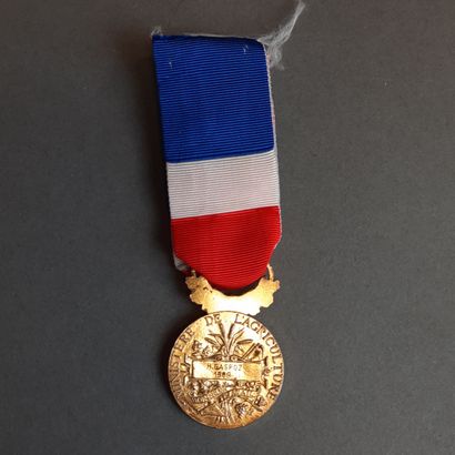 Lot de MÉDAILLES : cinq en plaqué or du Mérite...