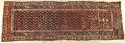 TAPIS KHAMSEH, famille des Quasgaï (Perse)...