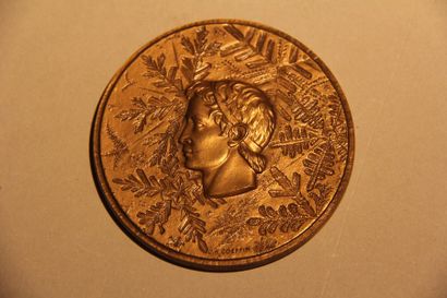 JEUX OLYMPIQUES / Grenoble 1968.
Médaille...