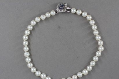 Collier de perles de culture choker, fermoir...