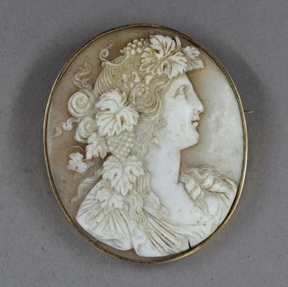 Broche en or jaune 18k ornée d'un camée coquillage...