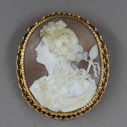 Broche en or jaune 18k ornée d'un camée coquillage...