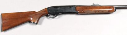 Carabine semi-automatique Remington modèle7400...