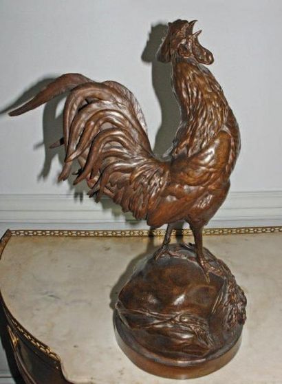 Auguste Nicolas CAIN (1821-1894)
Coq français...