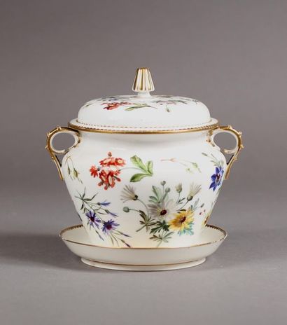 SEVRES (hard porcelain): Porcelain covered...