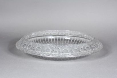 René LALIQUE (1860-1945) Daisy
Cup. Proof...