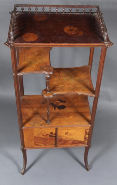 Emile GALLE (1846-1904)
Etagère en bois de...