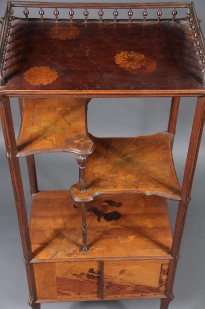 Emile GALLE (1846-1904)
Etagère en bois de...