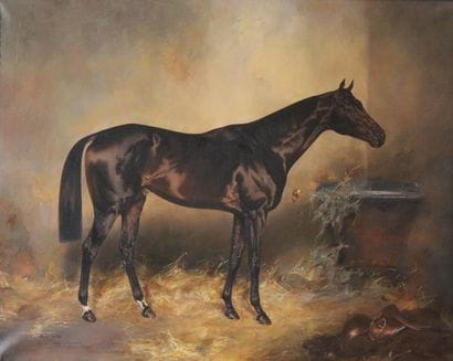 Ignace KONRAD (1894-1969)
Portrait de cheval:...